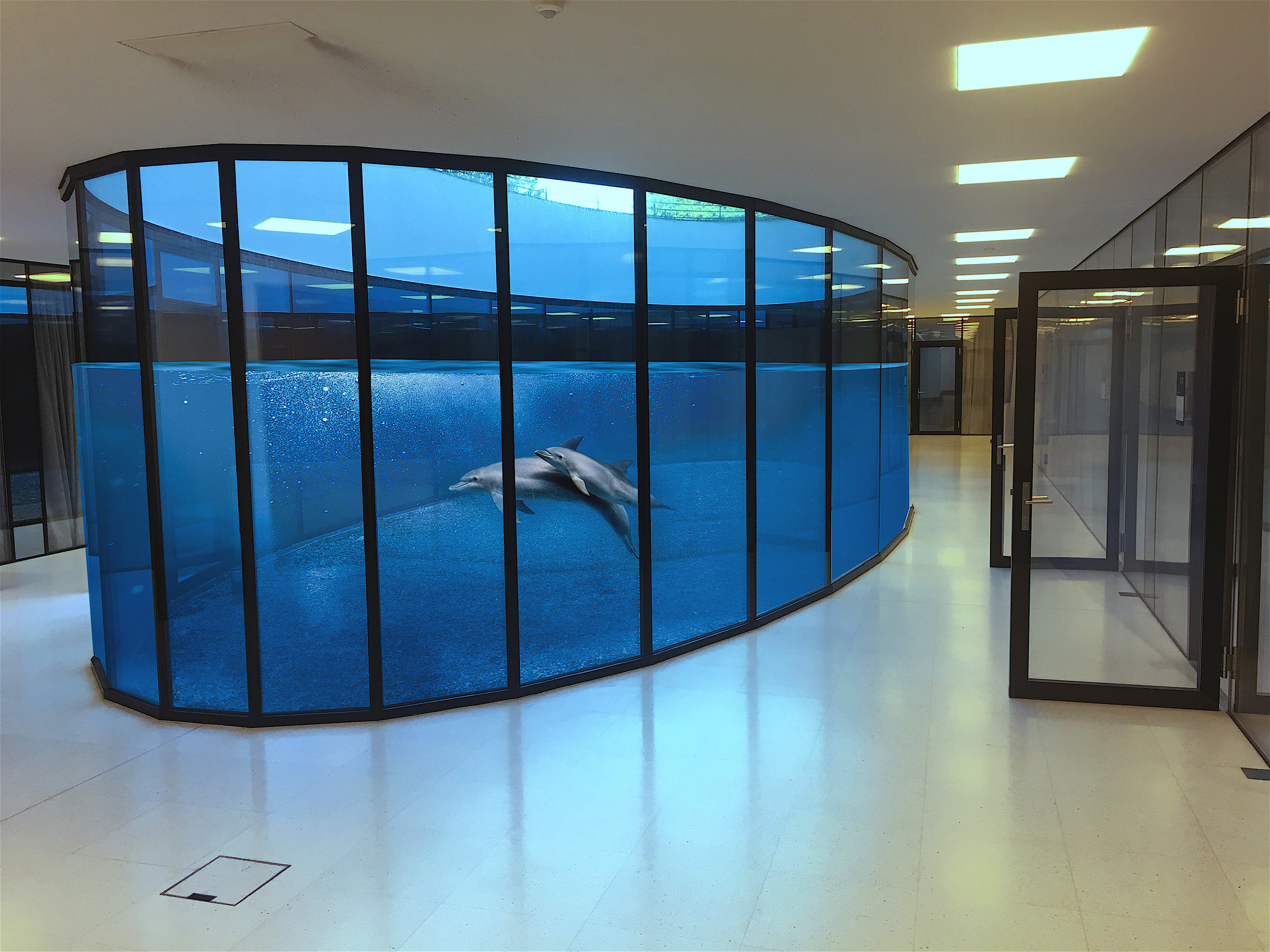 Wir fordern: Man belebe den Lichthof!