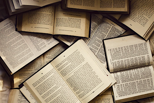 Drei Bücher, die zum Aufbrechen anregen.